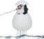 Loading Image 1 of 5