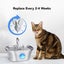 Cat Water Fountain Filters Carousel 5