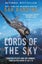 Lords of the Sky Carousel 1