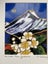 VINTAGE TRANQUIL SIGNED PRINT MOUNTED GLASS WOOD FRAME MT COOK NZ D. VASSEY Carousel 2