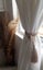 Curtain Tie Backs White Carousel 12