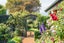 gallery view thumbnail