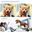 Tanix TX68 TV Box Android12 Allwinner H618 2GB/4GB RAM 16GB 32GB/64GB BT AVI ... Carousel 4