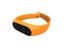 For Mi Band 2 Strap Bracelet On Miband 2 Pulseira Wrist Opaska For Xiaomi My Carousel 6
