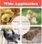 NEW Chick Brooder Heating Plate 40*60CM Adjustable Chicken Coop Brooding Heater Carousel 4