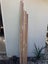 rimu timber Carousel 18