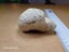 Petoskey Stone - Fossil Coral - Michigan, USA Carousel 8