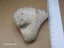Petoskey Stone - Fossil Coral - Michigan, USA Carousel 3
