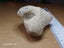 Petoskey Stone - Fossil Coral - Michigan, USA Carousel 5