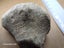 Petoskey Stone - Fossil Coral - Michigan, USA Carousel 9