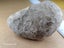 Petoskey Stone - Fossil Coral - Michigan, USA Carousel 7