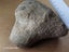 Petoskey Stone - Fossil Coral - Michigan, USA Carousel 6