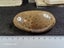 Petoskey Stone - Fossil Coral - Michigan, USA Carousel 14