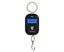 WeiHeng 5g to 25kg Double-range Digital Hanging Scale Carousel 1