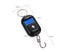 WeiHeng 5g to 25kg Double-range Digital Hanging Scale Carousel 6