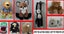 CHOOSE 1: Loekie DUTCH Lion Fox Monkey Teddy Bear Cat Kiwi Sheep Kawaii DC Cubes Carousel 1