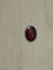 0.795ct Cut Garnet Carousel 4