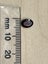 0.795ct Cut Garnet Carousel 8