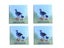 Loading Image 1 of 1
