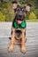 HUMANE SOCIETY RESCUE DOG - LINUS A SHAR PEI X SHEPHERD Carousel 5