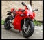 Large Size 1/9 Ducatis Panigale V4S Alloy Racing Motorcycle Carousel 10
