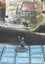 Townsfolke Miniatures Set #18 Gnomeworkz Dungeons and Dragons dice4dungeons Carousel 13
