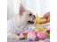 Pet Interactive Plush Squeaky Toy For Cats Fruit Bite Resistant Carousel 5