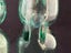 Vintage Pair Of Marble Codd Bottles Carousel 3