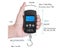 Digital Scales Carousel 7