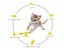Loading Image 2 of 3