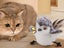 2X Interactive Cat Toys Flapping Bird Rechargeable Touch Activated Kitten Toy Carousel 3
