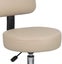 STOOL LAB SALON TATTOO OFFICE ROLLING CHAIR WITH BACKREST Carousel 2