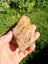 Petrified wood carving slab Carousel 4