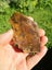 Petrified wood carving slab Carousel 6
