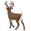 Loading Image 1 of 7