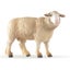 Loading Image 1 of 5