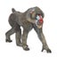 Loading Image 1 of 6