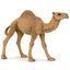 Loading Image 1 of 6