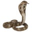 Loading Image 1 of 6