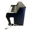Hape Learn with Lights Black Piano Carousel 3