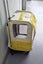 Multipurpose Pet Carrier Foldable Trolley (with Wheels) Carousel 5