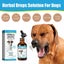 Dog Cough Treatment Herbal Drops Solution Dietary Supplement Kennel For Dog Itch Carousel 4