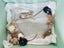 Gorgeous Fancy Pet Mice Carousel 9