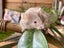Gorgeous Fancy Pet Mice Carousel 15