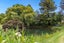gallery view thumbnail