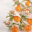 Brooch "Orange Blossom" Carousel 8