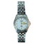 CITIZEN AUTOMATIC WATCH Carousel 1