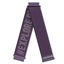 COROS 20mm Nylon Band - Purple Carousel 1