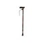 T Handle Walking Stick - Bloom Pattern Lightweight Cane Carousel 3