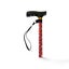 T Handle Walking Stick - Rose Pattern Lightweight Cane Carousel 4